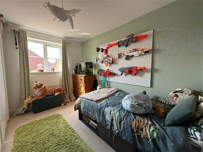 Picture 12